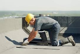 Best Roof Maintenance and Cleaning  in Dover, DE